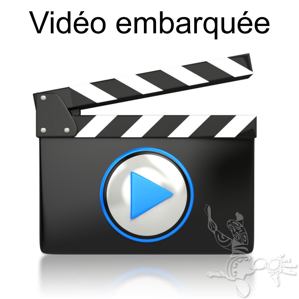 Vidéo