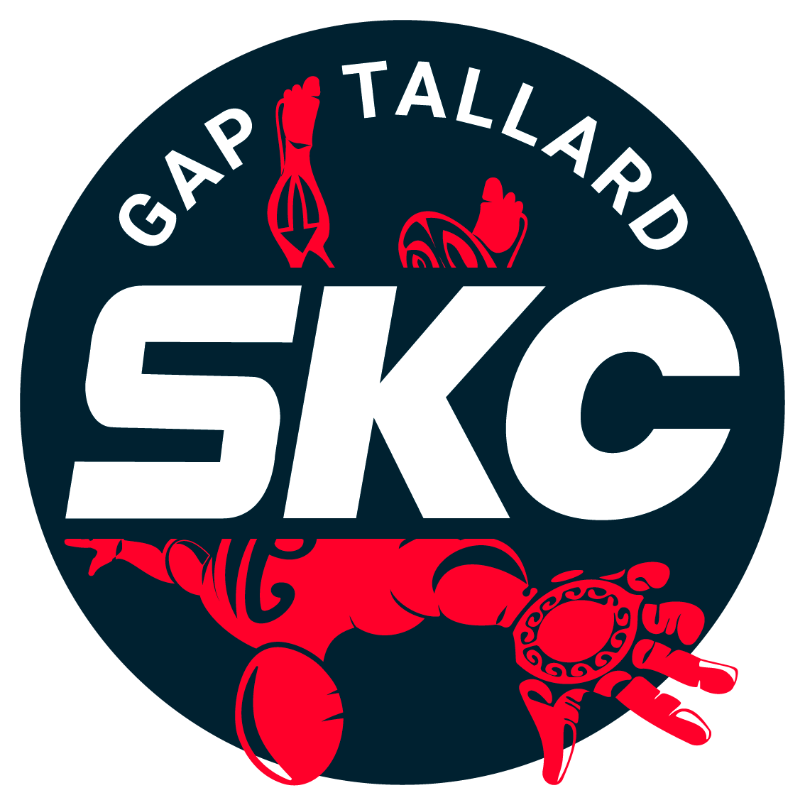 Skydive Center logo