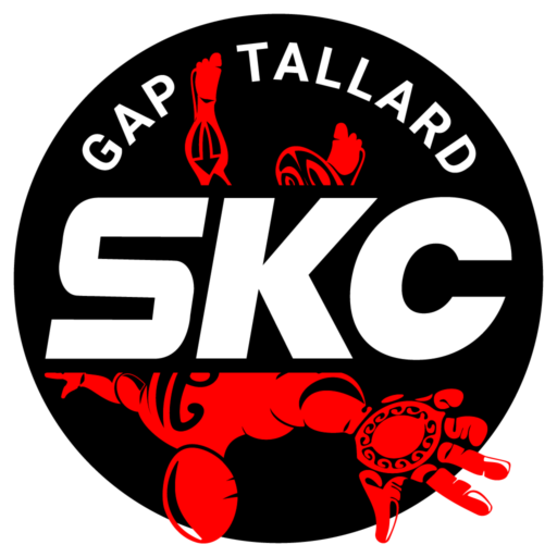 Skydive Center logo